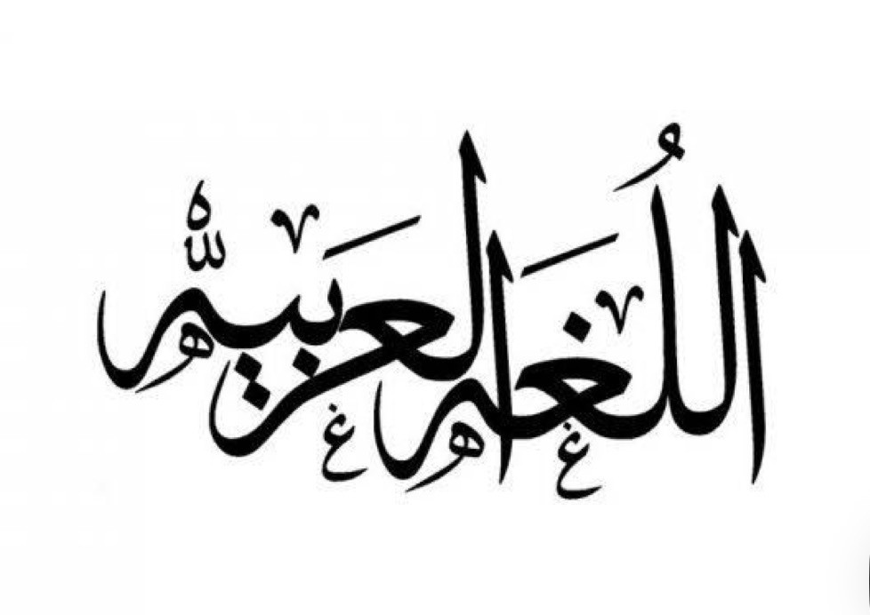 اللغة العربية الرابع الاعدادي -سارة يونس حسن